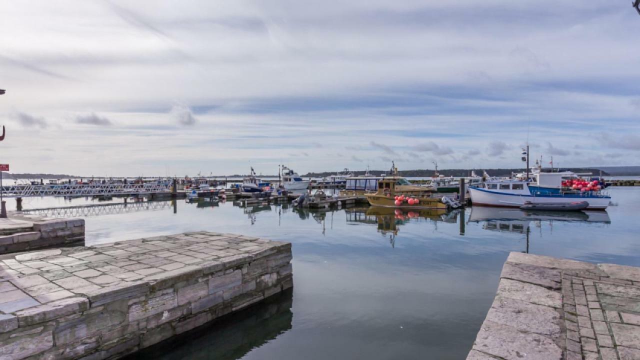 Vila Crow'S Nest Poole Exteriér fotografie
